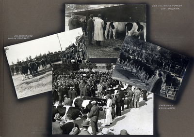 223090 Bladzijde met vier foto's van de Veetentoonstellingen te Utrecht van 10 tot en met 12 september 1935 te op het ...